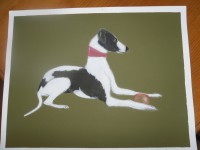 /album/galerie-photos/photo-476-jpg/